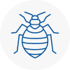 Bed Bug Extermination In Newent